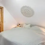 Quartier Saengerstadt * フィンスターヴァルデ